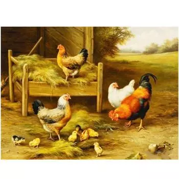 Полный 5D Diy Алмазная картина Животное Курица Вышивка Крестом Домашний Декор Ручной Подарок 20X25CM