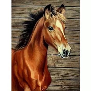 Полный 5D Diy Алмазная картина животное Лошадь Алмазная вышивка Крест Стежок Главная Декор Ручной подарок 25x30cm
