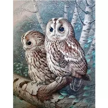 Полный 5D Diy Алмазная картина Животное Сова Мозаика Вышивка Крестом Домашний Декор Ручной Подарок 25x30cm