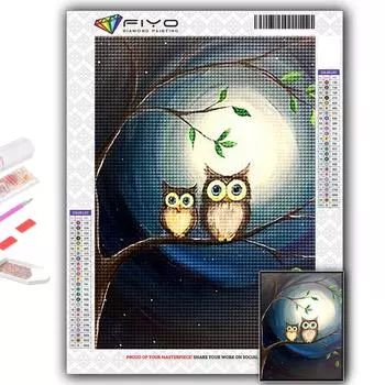 Полный 5D Diy Алмазная картина Животное Сова 5D Алмазная картина Full Round 20X30CM