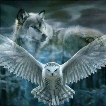 Полный 5D Diy Алмазная картина Животное Волк и Сова Мозаика Вышивка Крестом Домашний Декор Ручная работа 25x25cm