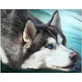 Полный 5D Diy Алмазная картина животное волк собака вышивка крестиком домашний декор подарок ручной работы 25x30cm