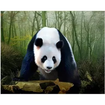 Полный 5D Diy Алмазная картина животных Панда Алмазная вышивка Крест Стежок Главная Декор Ручной подарок 25x30cm