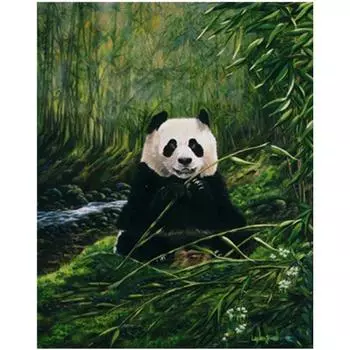 Полный 5D Diy Алмазная картина животных Панда Алмазная вышивка Крест Стежок Главная Декор Ручной подарок 25x30cm