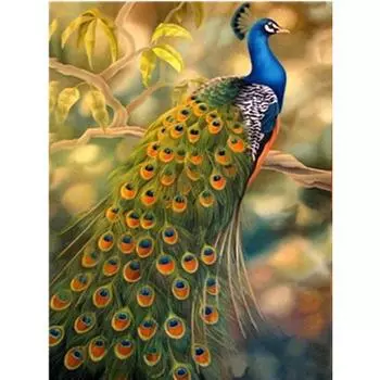 Полный 5D Diy Алмазная картина животных Павлин Алмазная вышивка Крест Стежок Главная Декор Ручной подарок 20x30cm
