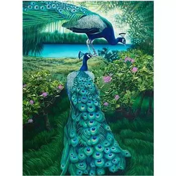 Полный 5D Diy Алмазная картина животных Павлин Алмазная вышивка Крест Стежок Главная Декор Ручной подарок 25x30cm