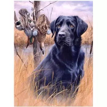 Полный 5D Diy Алмазная картина животных Собака Алмазная вышивка Крест Стежок Главная Декор Ручной подарок 25x30cm