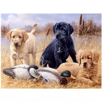 Полный 5D Diy Алмазная картина животных Собаки Алмазная вышивка Крест Стежок Главная Декор Ручной подарок 25x30cm