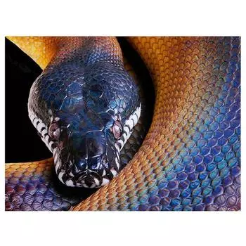 Полный 5D Diy Алмазная картина животных Змея Алмазная вышивка Крест Стежок Главная Декор Ручной подарок 25x30cm
