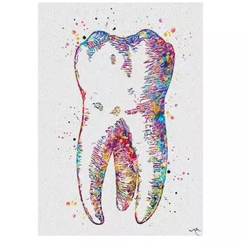 Полный 5D Diy Алмазная картина Зуб Алмазная вышивка Полный лежал вышивка крестом Домашний декор Подарок ручной работы 20x30cm