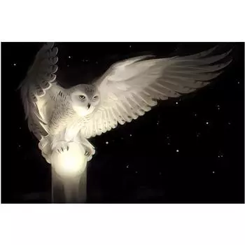 Полный 5D Diy Алмазная картина Звездная Сова Мозаи Вышивка Крестом Домашний Декор Подарок ручной работы 20X25CM