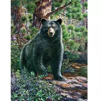 Полный 5D Diy алмазная живопись лес черный медведь Алмазная вышивка полный набор аниме наборы для вышивки крестом домашний декор подарок ручной работы Round 20x30cm