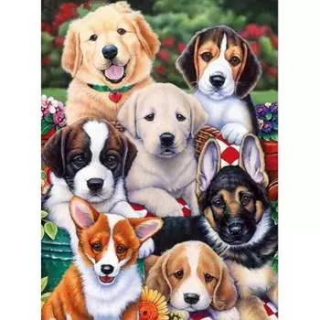 Полный 5D Diy алмазная живопись несколько щенков Алмазная вышивка полная вышивка крестиком домашний декор подарок ручной работы 20x30cm