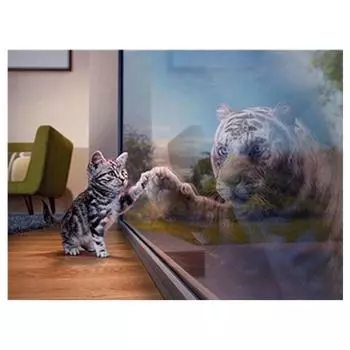 Полный 5D Diy алмазная живопись животное кошка тигр Алмазная вышивка наборы крестиков домашний декор подарок ручной работы Round 20x30cm