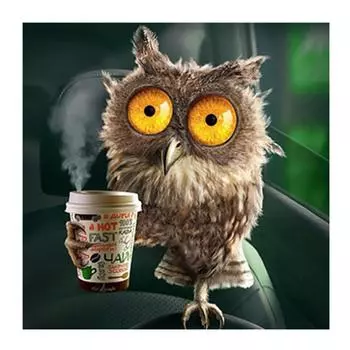 Полный 5D круглый алмаз живопись Volledig вышивка для домашнего декора мультфильм животных Рождественский подарок 20X20CM