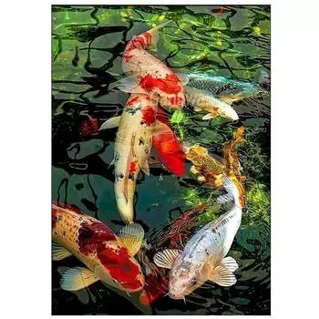Полный дисплей Алмазная вышивка японская рыба кои вышивка крестиком DIY алмазная живопись полная круглая мозаика украшение из бриллиантов Full Round 20x30CM