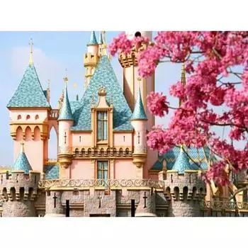 Полный дрель 5D Алмазная картина Вышивка крестиком Модная мозаика Стразы и украшение замка Full Round 20x25CM