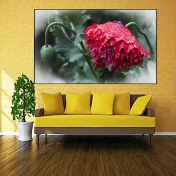 Полный дрель 5D DIY Алмазная картина Цветок мака Вышивка Крестом 20X30CM