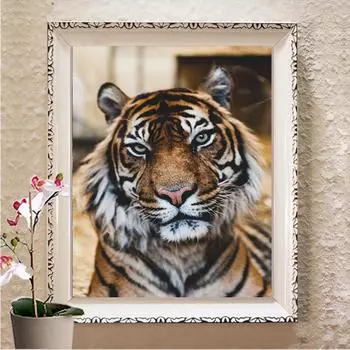 Полный дрель 5D DIY Ручная Алмазная вышивка крестом Ремесло Картина Алмазная вышивка Алмазная стена Искусство Декор Full Round 20X30CM