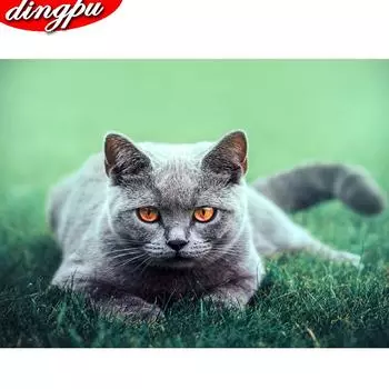 Полный дрель Алмаз 5D DIY Алмазная картина Алмазная вышивка Крест Стежок Горный хрусталь Мозаика Картина 20X30CM