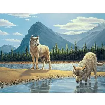 Полный дрель Алмазная картина 5D Животное Вышивка Крестом Волк DIY Украшение дома Подарок 20X30CM