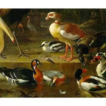 Полный дрель Алмазная вышивка Утка Домашний декор Алмазная картина Вышивка крестиком Хрустальные бусины Рукоделие 20X30CM