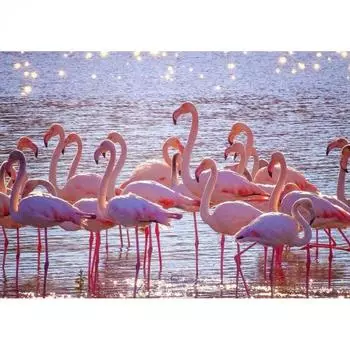 Полный дрель алмазная живопись фламинго животное изображение горный хрусталь DIY 5D Алмазная вышивка крестиком домашний декор Full Round 20x30CM