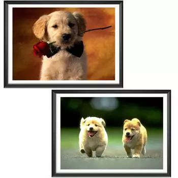 Полный круг Алмазная картина Вышивка крестом 5D Алмазная мозаика Вышивка Пейзаж Животные Мозаичный узор Художественный комплект Украшение дома Full Round 20x30CM