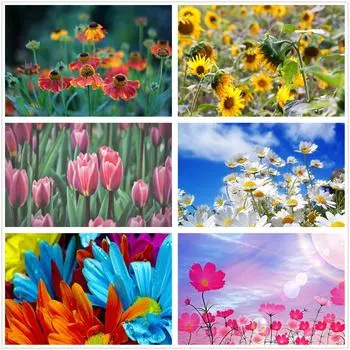 Полный круг алмазная живопись вышивка крестиком Алмазная мозаика вышивка пейзаж животные 3d картина подарок домашний декор стены Full Round 20x30CM