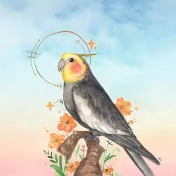 Полный круг алмазная живопись вышивка крестиком Алмазная мозаика вышивка пейзаж животные мозаичный узор украшения для дома Full Round 20x30CM