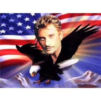 Полный круглый 5D DIY Алмазная картина певец Джонни Алмазная вышивка крестиком Мозаика Орел искусства Full Round 20x25CM