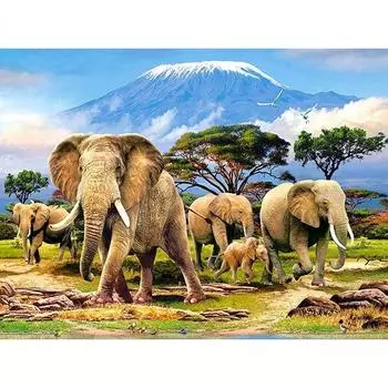Полный круглый алмаз картина Африканский слон Алмазная вышивка крестиком изображения животных стразами Мос Full Round 20x30CM