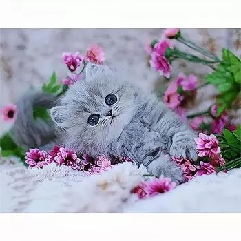 Полный круглый алмаз вышивка кошка DIY круглый алмаз живопись животных мозаика украшения дома 30x40 см/12x16 дюймов 30x40cm NO Frame