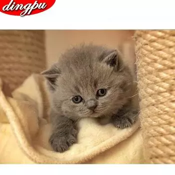 Полный круглый алмаз живопись мультфильм конфеты Алмазная вышивка распродажа горный хрусталь картина 5d Алмазная мозаика Прямая поставка 20X30CM