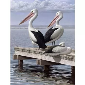 Полный круглый DIY Алмазная вышивка Австралийский Пеликан 5D Алмазная картина Горный хрусталь Мозаика Декор Full Round 20x30CM