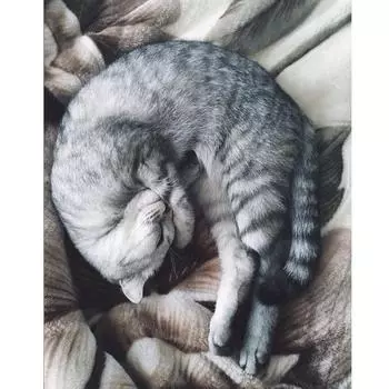 Полный круглый дрель 5D Алмазная картина Женщина DIY Алмазная вышивка Портрет Вышивка крестиком Украшение дома 20X30CM красный