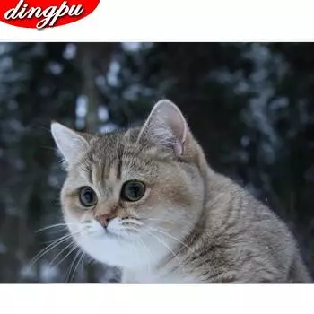 Полный круглый дрель 5D DIY Алмазная картина животное отражение белка вышивка крестом 5D домашний декор подарок 20X30CM красный