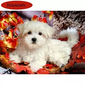 Полный круглый дрель 5D DIY Алмазная картина Животное собака ручной работы 3D Набор для вышивания Крестиком Мозаика 20*30 cm