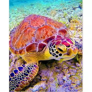Полный круглый дрель Алмазная картина Животное Морская черепаха Горный хрусталь Вышивка Крестом 20X30CM