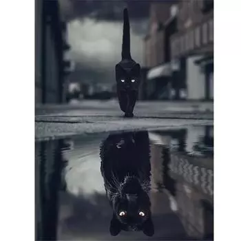 Полный круглый/квадратный 5D Diy алмазная живопись отражение черный кот Алмазная вышивка наборы крестиков домашний декор подарки ручной работы Round 20x30cm