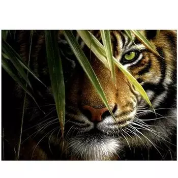Полный круглый/квадратный 5D Diy алмазная живопись Тигр Хищный Алмазная вышивка наборы крестиков домашний декор подарки ручной работы Round 20x30cm