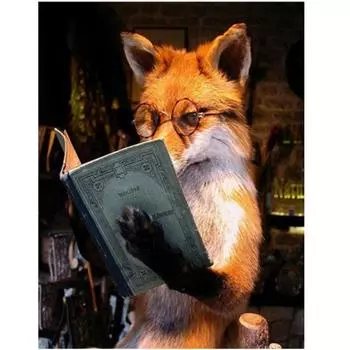 Полный круглый/квадратный 5D Diy алмазная живопись Обучение лиса Алмазная вышивка наборы крестиков домашний декор подарки ручной работы Round 20x30cm