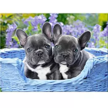 Полный круглый/квадратный 5D Diy алмазная живопись две собаки вышивка полный набор крестиков домашний декор подарок ручной работы Round 20x30cm