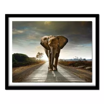 Полная круглая дрель 5D DIY Алмазная картина Слон Вышивка крестом Стразы Украшение для дома 20X30CM