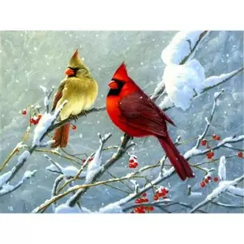 Полный квадратный дрель Алмазная картина 5d Зимнее животное DIY Алмазная вышивка Мозаика Ремесленный домашний декор Full Round (20X30CM)