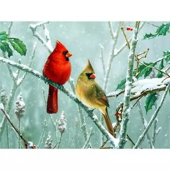 Полный квадратный комплект алмазной живописи 5D DIY Алмазная вышивка животных Мозаика Стразы Фотографии Домашний декор Full Round (20X30CM)