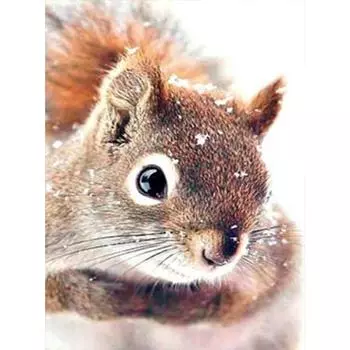 Полный квадратный круглый дрель 5D Алмазная картина Алмазная вышивка Мозаика Вышивка крестом Горный хрусталь Украшение Full Round 20X30CM