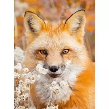 Полный квадратный спящий кот Алмазная картина полная дрель вышивка крестиком Алмазная вышивка мозаика стразы домашний декор Full Round 20X30CM