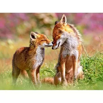 Полная круглая дрель 5D DIY Алмазная вышивка Семья животных Алмазная картина Вышивка крестом Стразы 20X30CM