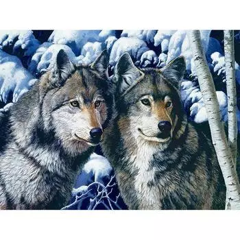 Полная круглая алмазная вышивка Снежный волк Брат Алмазная картина Вышивка крестом Стразы 20X30CM